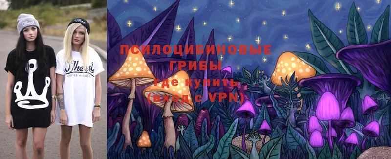 Псилоцибиновые грибы Psilocybe  даркнет сайт  Малая Вишера 